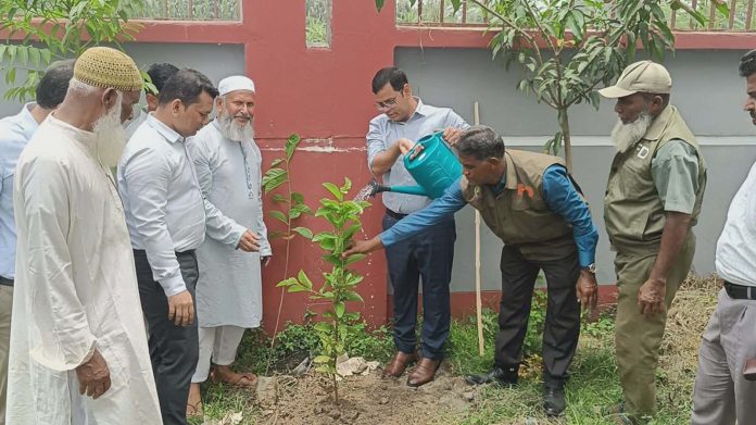 বাগমারায় শিক্ষা প্রতিষ্ঠানসহ বিভিন্ন স্থানে বৃক্ষরোপণ কর্মসূচির উদ্বোধন